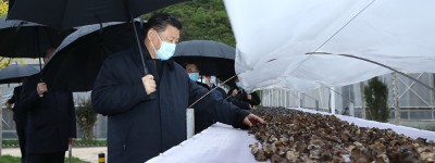 习近平在陕西考察秦岭生态保护情况
