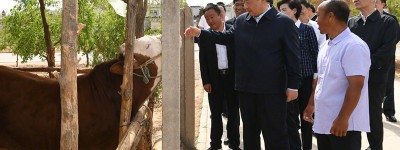习近平赴宁夏考察调研