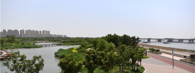 人与自然和谐共生的“天津实践”