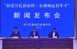 大抓项目建设 大抓实体服务 奋力交出经济高分报表