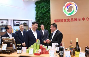 习近平考察中国与葡语国家商贸合作服务平台综合体