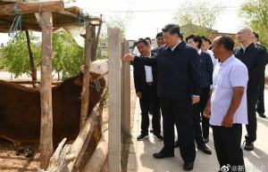 习近平赴宁夏考察调研