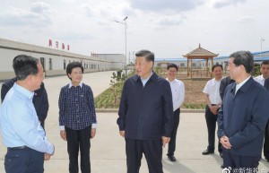 习近平在宁夏弘德村考察